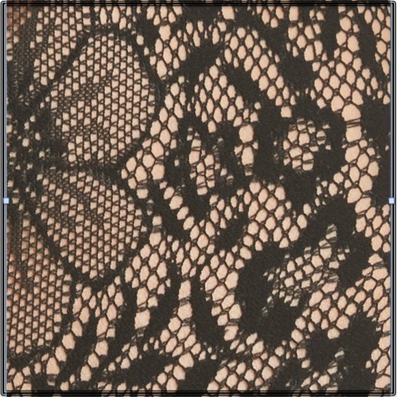 Free People: LIVE IT UP LACE BODYSUIT - NWT - Picture 5 of 5